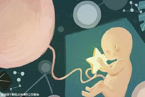 关于代妈应聘公司